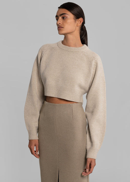 Neasi Wool-Blend Pencil Skirt - Taupe