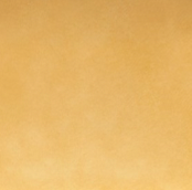Axel Minaudiere in Antique Gold